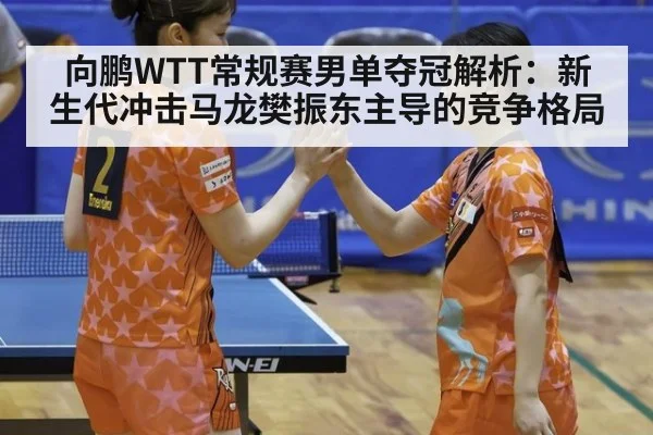 向鹏WTT常规赛男单夺冠解析:新生代冲击马龙樊振东主导的竞争格局